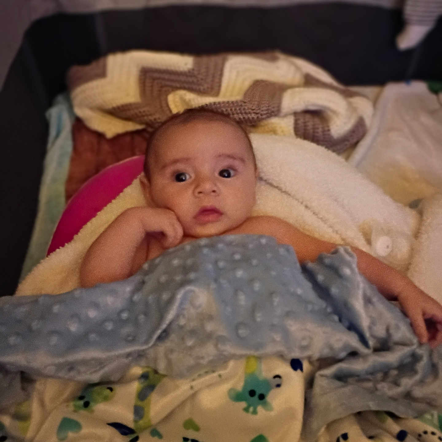 Royal joined the competition — help win amazing prizes! baby, blanket, infant, face, child, cozy, cushion, bed, sleeping_area, soft_texture, patterned_blanket, indoors, warm, comfort, resting, cute, young_child, portrait, wrapped, head