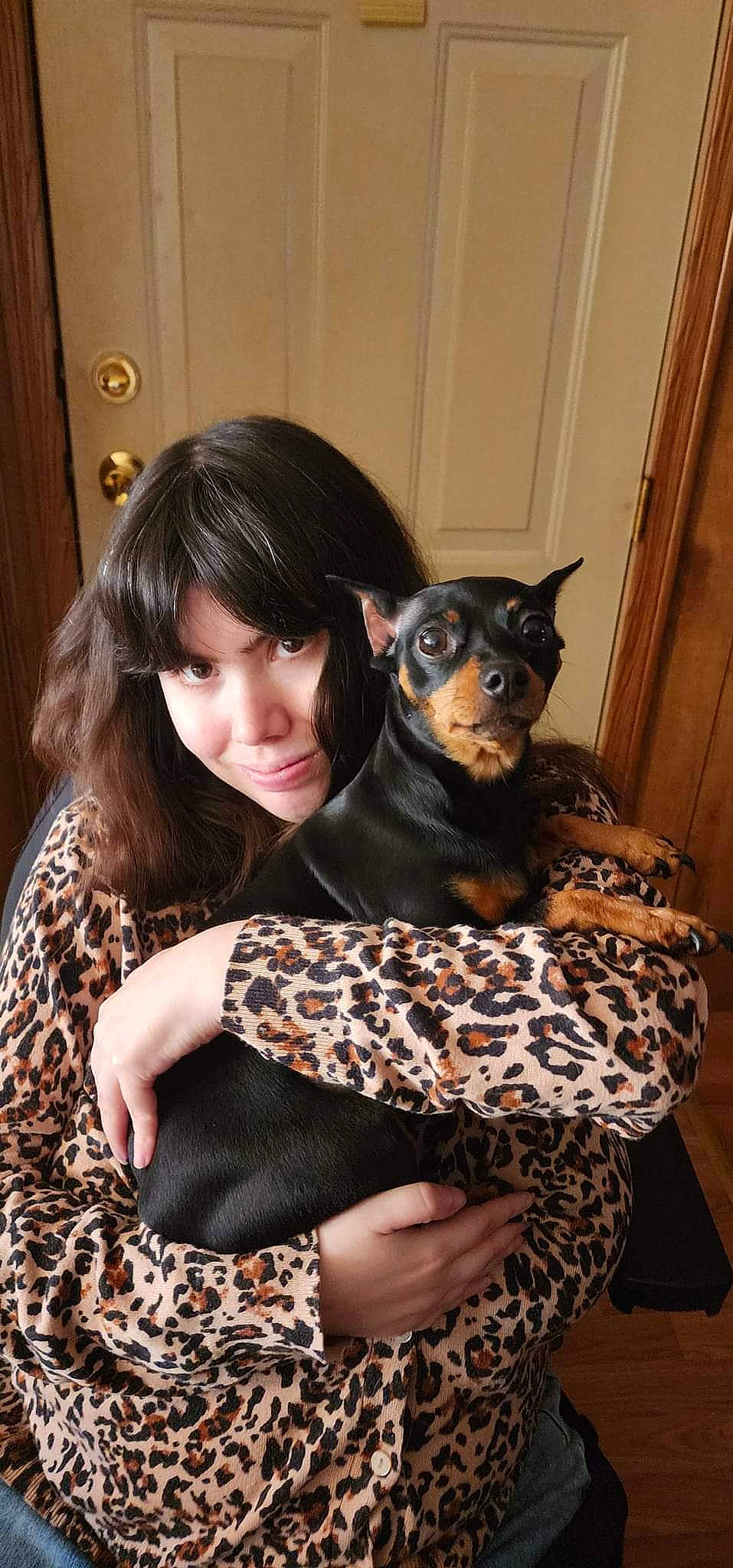 Rosie joined the competition — help win amazing prizes! carnivore, comfort, companion_dog, costume, dog, dog_breed, door, fawn, felidae, formal_wear, fur, guard_dog, lap, linens, pattern, sitting, small_to_medium_sized_cats, toy_dog, vertebrate, whiskers