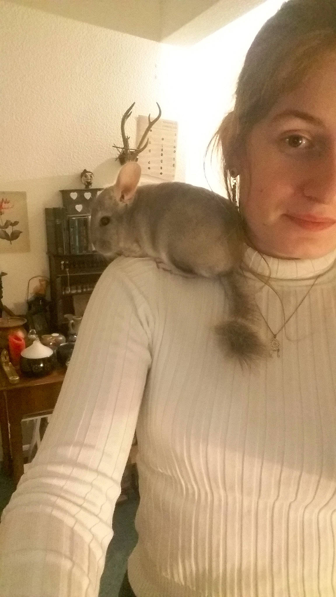 Bobby a rejoint le concours — aidez-le/la à gagner de superbes lots ! arm, ear, fawn, hair, joint, long_hair, neck, outerwear, person, selfie, shoulder, skin, sleeve, sweater, t_shirt, top