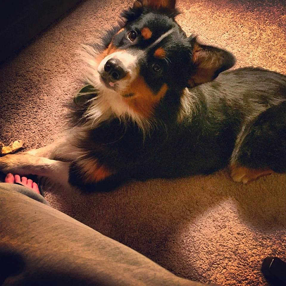 Micah