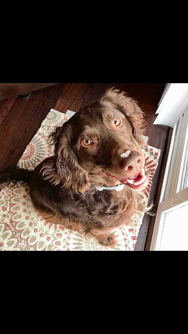 Charlie
