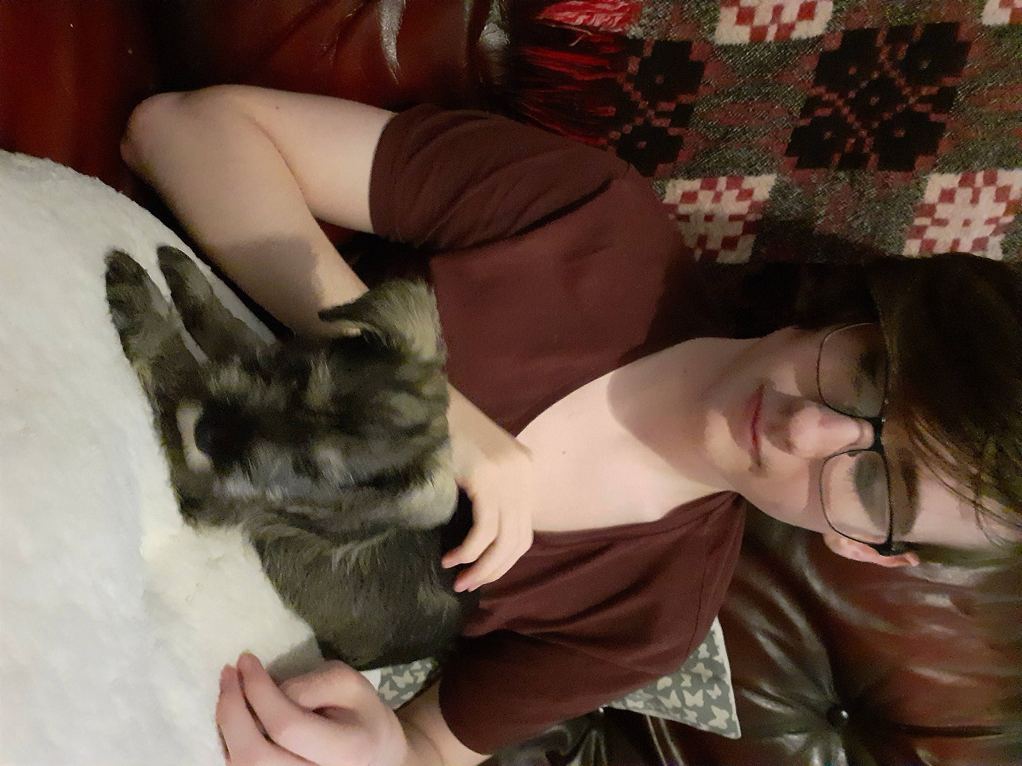 Terrence is registered to the contest to win money with this photo: carnivore, cat, ear, fawn, felidae, fur, hug, kitten, lap, leg, nap, small_to_medium_sized_cats, whiskers