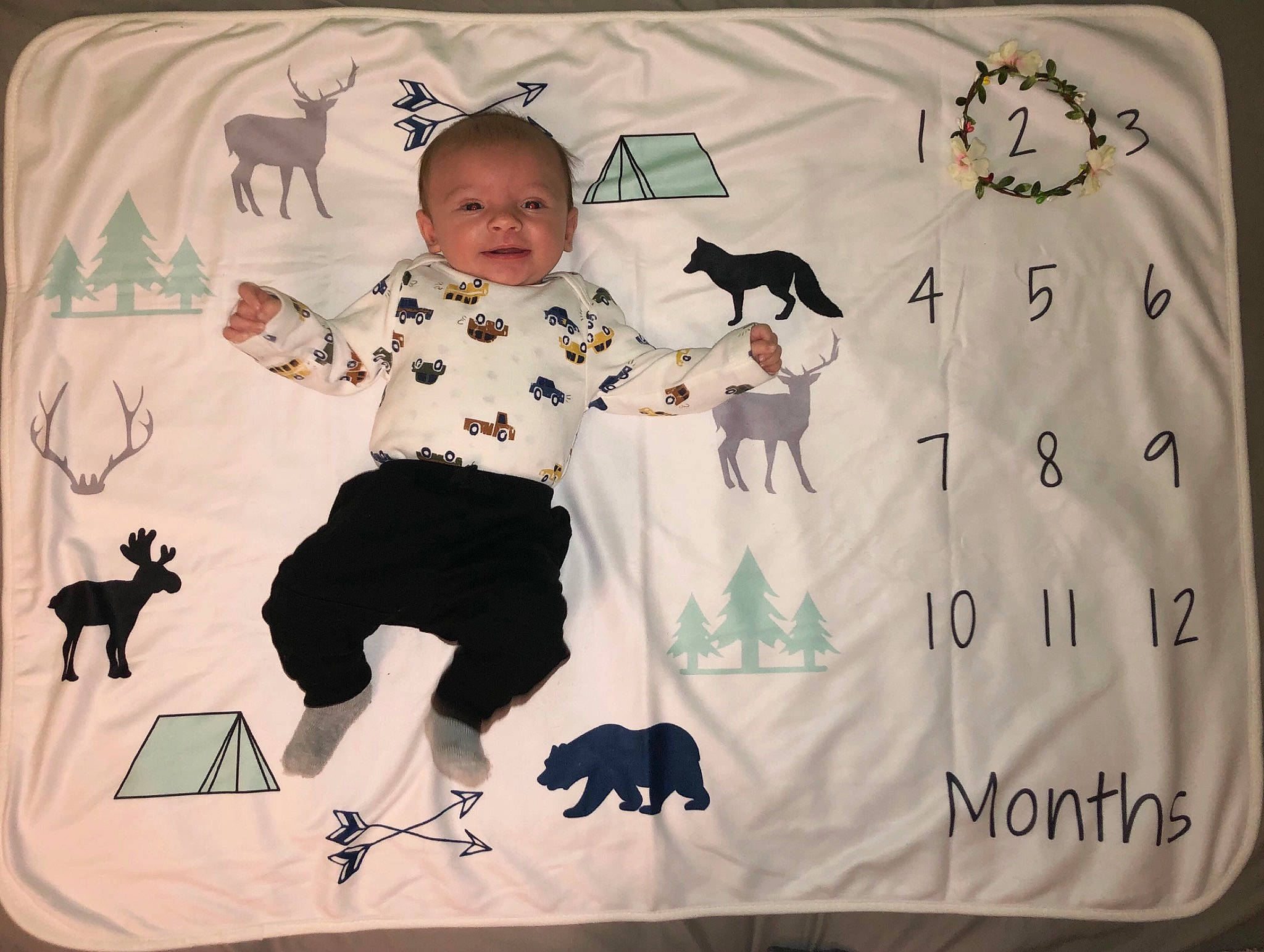 Roland joined the competition — help win amazing prizes! baby, baby_toddler_clothing, canidae, carnivore, creative_arts, dog_breed, fawn, home_accessories, illustration, linens, organism, pattern, person, tail, vertebrate, working_animal