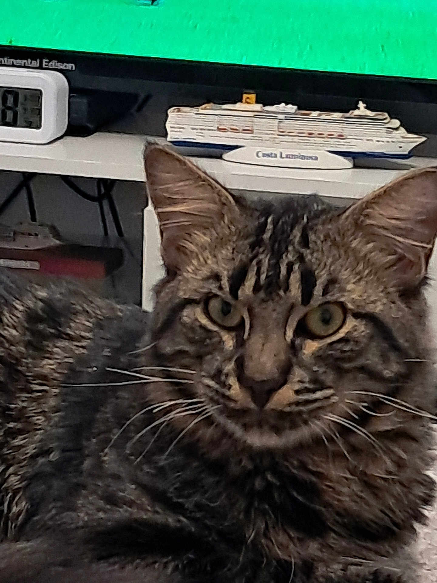 Zeus