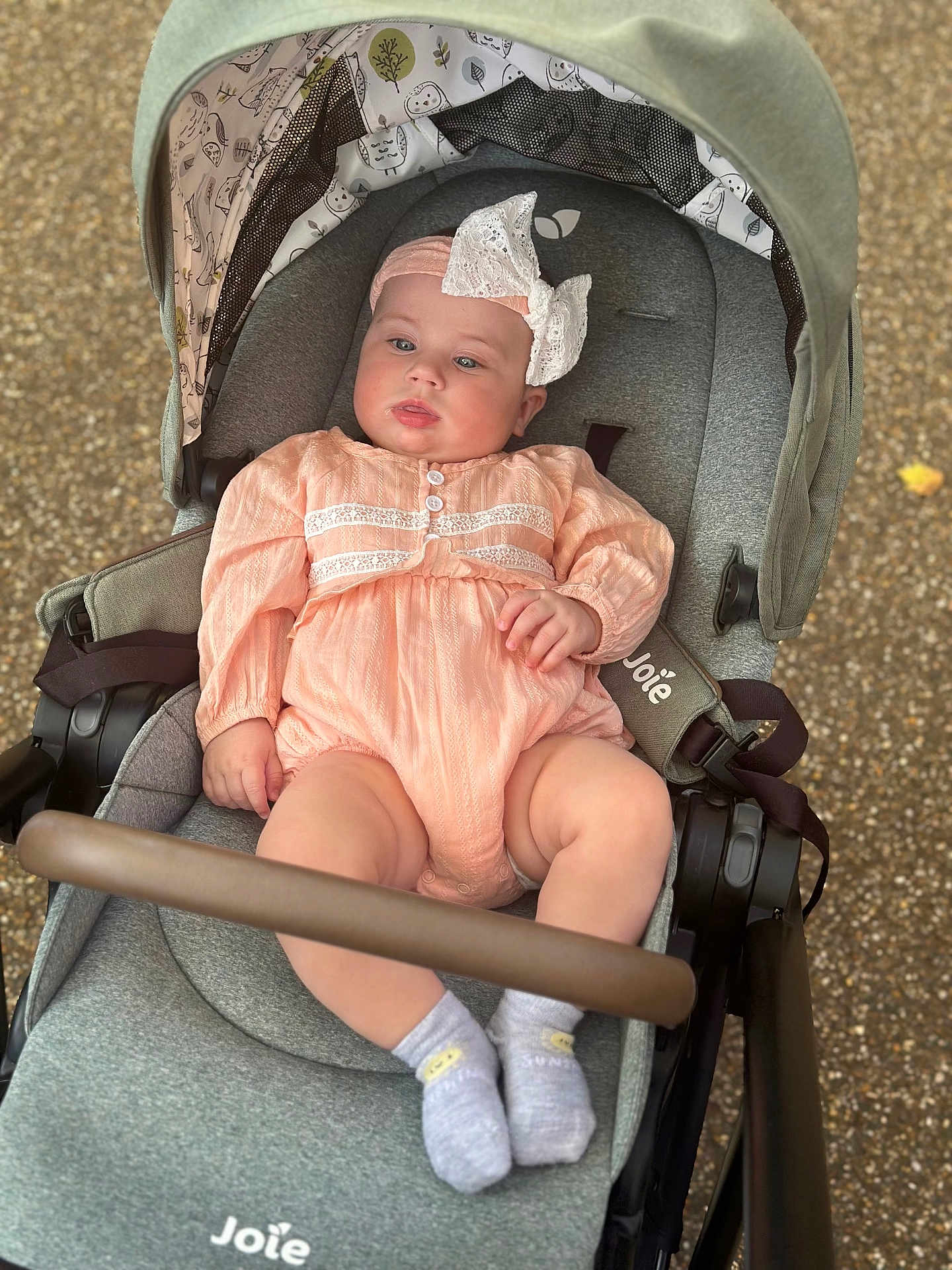 Adriana joined the competition — help win amazing prizes! baby, child, stroller, peach_outfit, white_bow, gray_stroller, socks, outdoor, infant, cute, seated, baby_clothing, headband, soft_lighting, plush, person, portrait, small_child, baby_toddler, casual