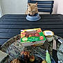 Titi a rejoint le concours — aidez-le/la à gagner de superbes lots ! cat, table, food, plate, potatoes, meat, bowl, chair, tomatoes, dessert, fork, knife, glass, tray, outdoor, wall, black_table, orange_cat, meal, curious
