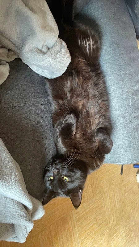 Onyx