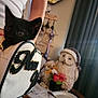 Tiny is registered to the contest to win money with this photo: kitten, black_cat, bag, person, tank_top, table, plate, fork, flower, vase, owl_decoration, curtain, notebook, pen, home_interior, furniture, indoor, animal, pet, cozy