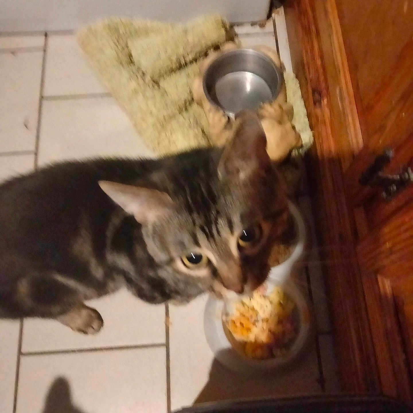 Mimi