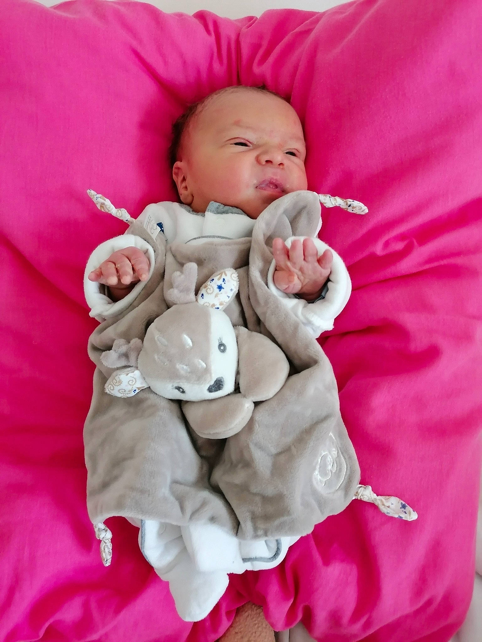 Louis participe au concours pour gagner de l'argent avec cette photo : baby, baby_products, baby_sleeping, baby_toddler_clothing, carmine, cheek, child, comfort, gesture, linens, magenta, peach, person, pink, product, purple, sleeve, stuffed_toy, teddy_bear, textile