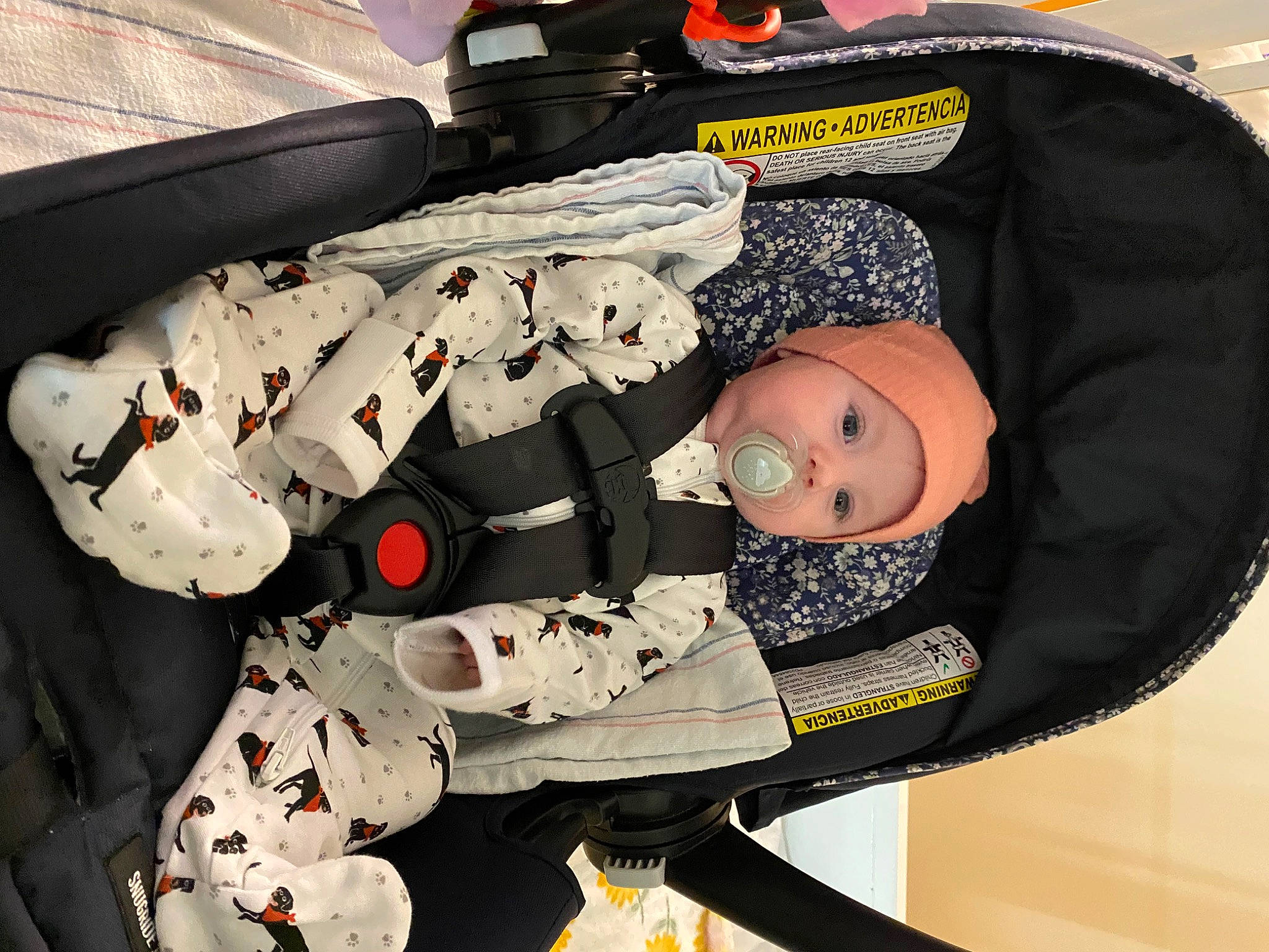 Willow is registered to the contest to win money with this photo: baby_carriage, baby_products, baby_toddler_clothing, bag, baggage, carmine, comfort, fashion_accessory, headwear, luggage_and_bags, pattern, person, product