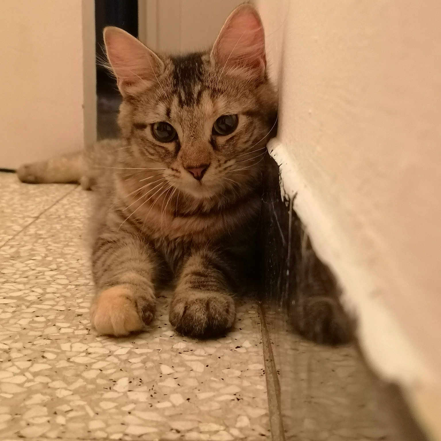 Ruben