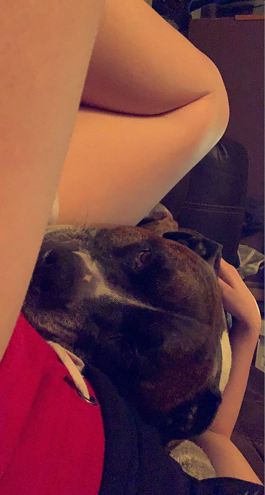 Gunner joined the competition — help win amazing prizes! abdomen, carnivore, chest, comfort, companion_dog, dog, dog_breed, elbow, flesh, gesture, happy, human_leg, kiss, knee, selfie, sporting_group, thigh, trunk, waist, working_animal