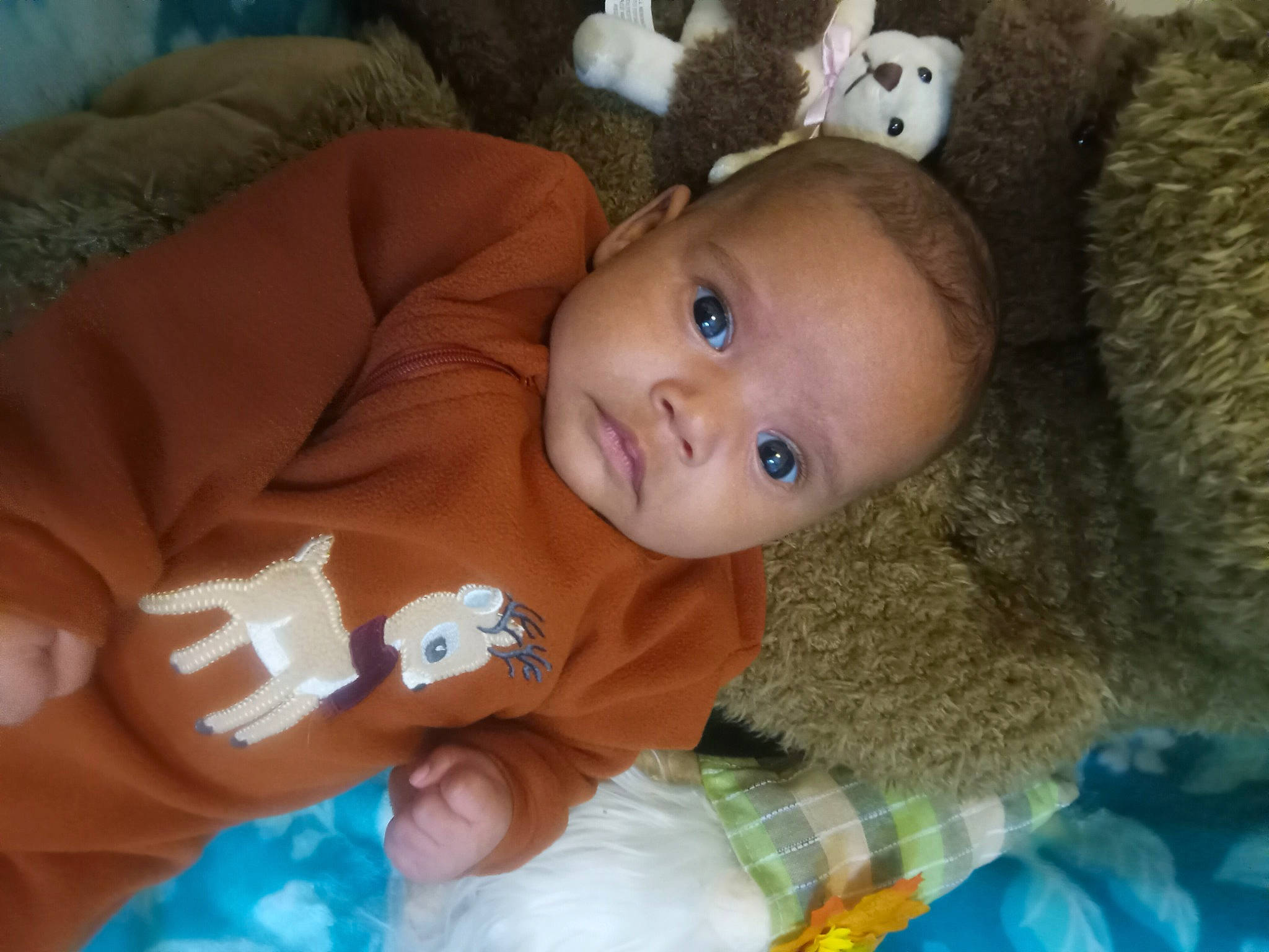 Aliana is registered to the contest to win money with this photo: baby, baby_toddler_clothing, cheek, child, chin, comfort, eye, eyebrow, face, happy, head, human_body, iris, linens, nose, person, skin, smile, thumb, toddler