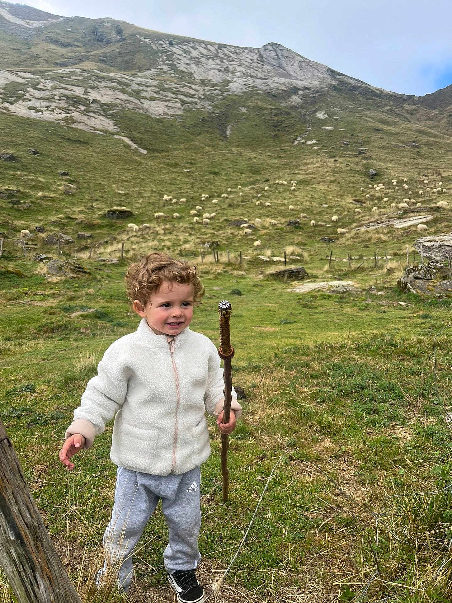 Elio