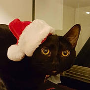 Raiden is registered to the contest to win money with this photo:
