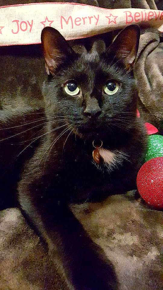 Bubby