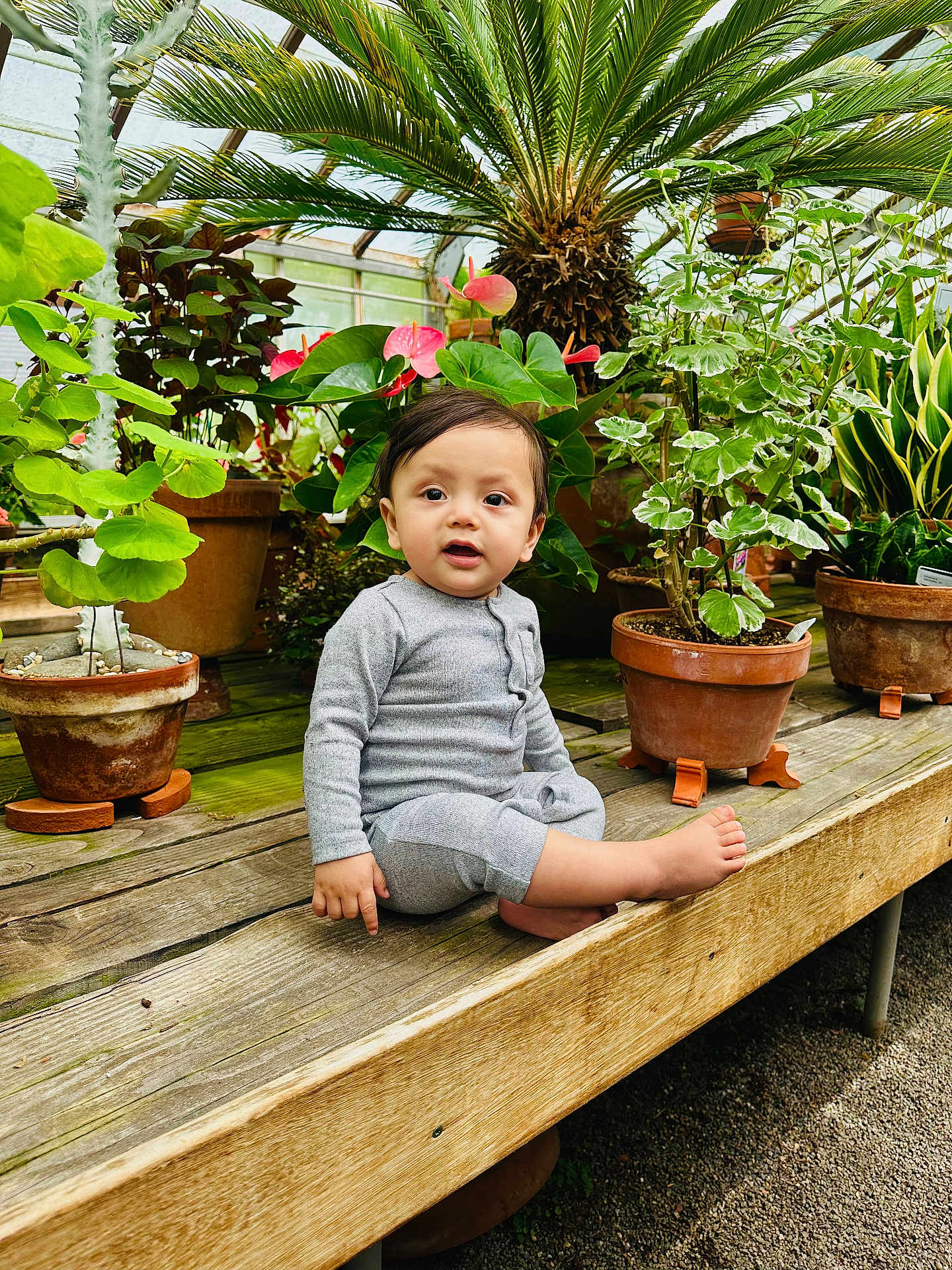 Josiah