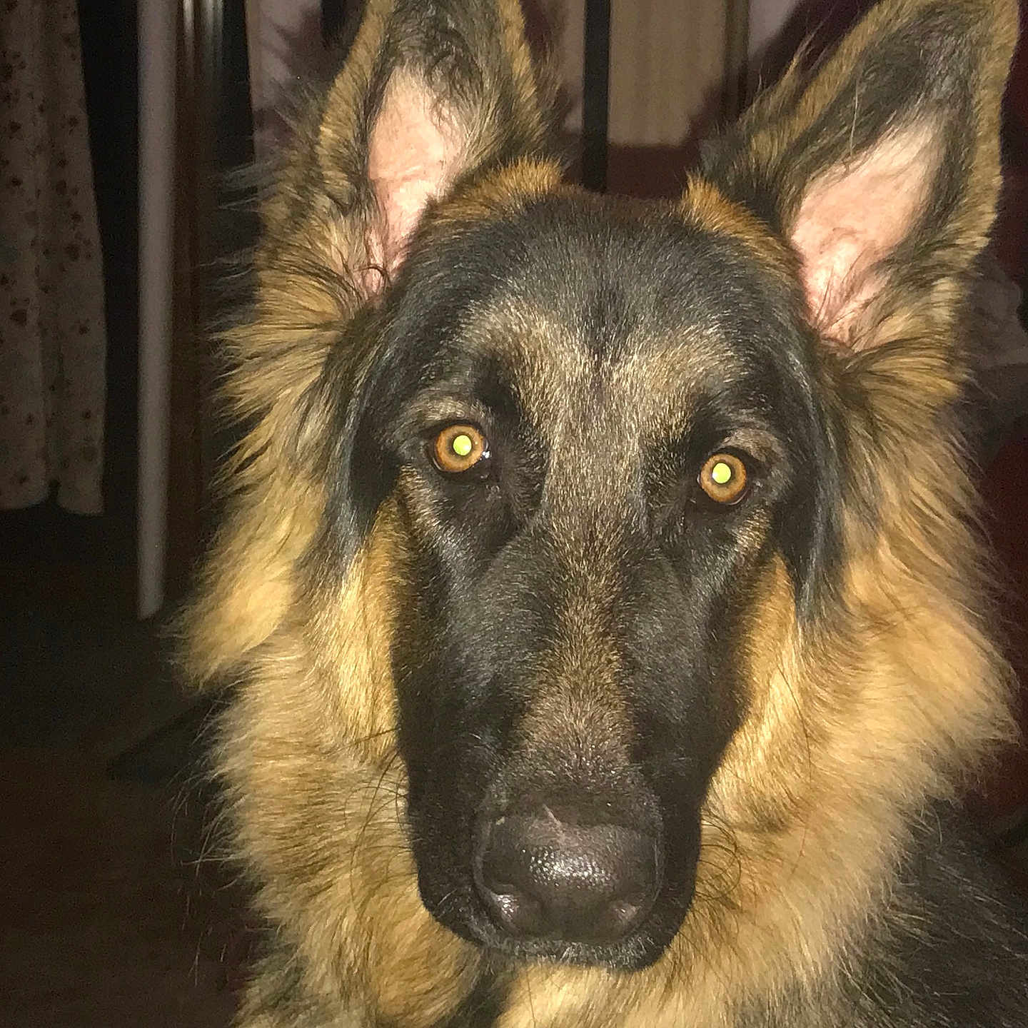 Coltrane