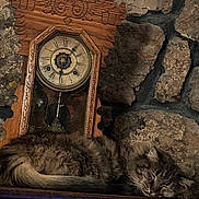 Breezy is registered to the contest to win money with this photo: cat, sleeping, tabby, fur, antique_clock, wooden_mantle, stone_wall, vintage, rustic, interior, closeup, relaxation, quiet, cozy, domestic_cat, mammal, pet, feline, resting, indoor
