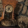 cat, sleeping, tabby, fur, antique_clock, wooden_mantle, stone_wall, vintage, rustic, interior, closeup, relaxation, quiet, cozy, domestic_cat, mammal, pet, feline, resting, indoor