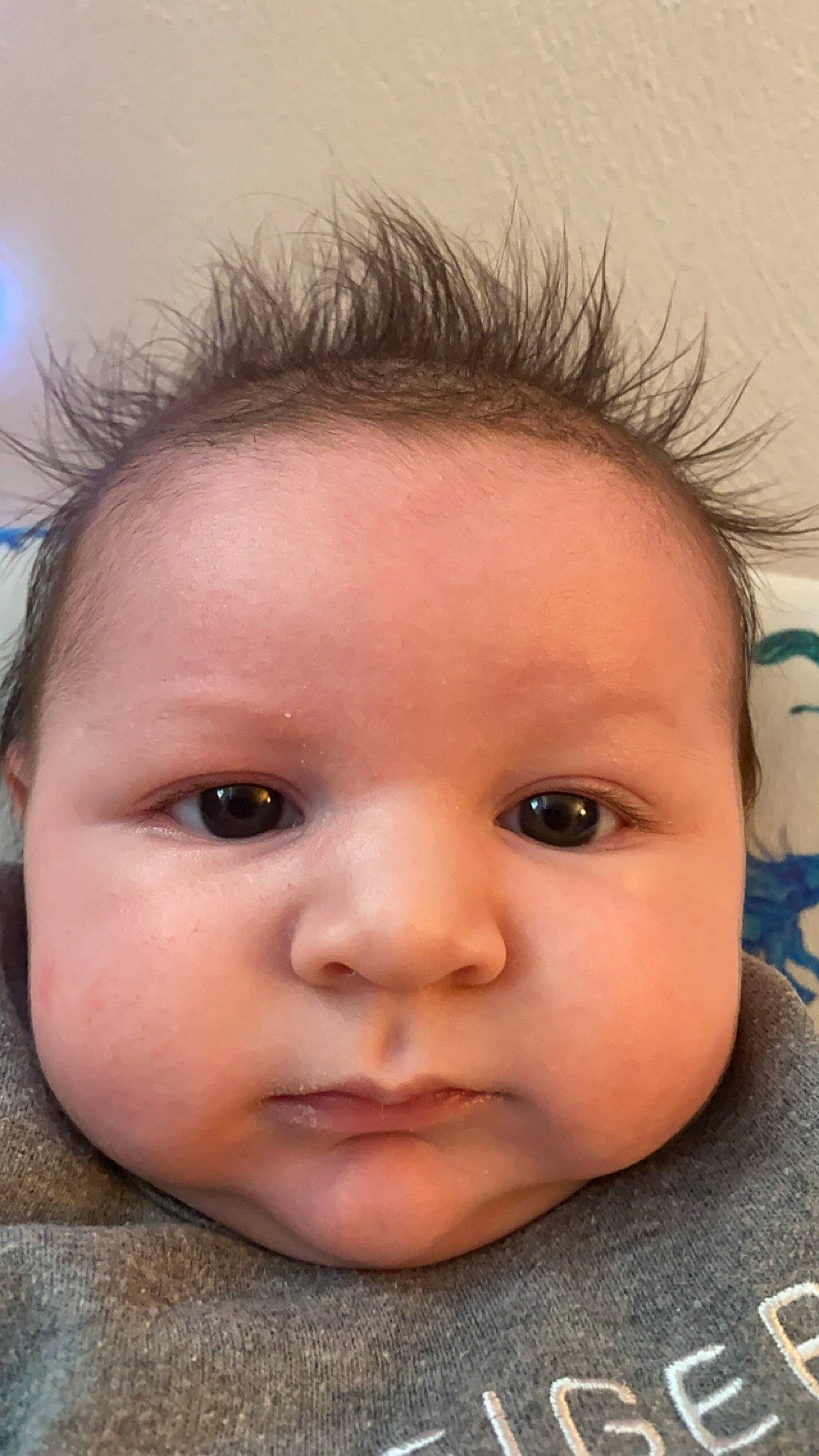 Zayden is registered to the contest to win money with this photo: baby, cheek, child, ear, eyebrow, eyelash, flash_photography, forehead, hair, happy, iris, jaw, lip, mouth, no_expression, nose, person, portrait_photography, skin, smile