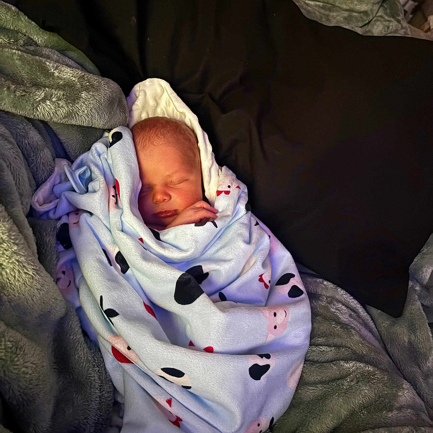 Samuel joined the competition — help win amazing prizes! newborn, baby, blanket, cow_pattern, sleeping, cozy, plush, pillow, soft, wrapped, indoors, resting, child, cute, infant, peaceful, warm, fabric, comfort, portrait