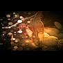 Lune a rejoint le concours — aidez-le/la à gagner de superbes lots ! atmosphere, darkness, fire, flame, geological_phenomenon, heat