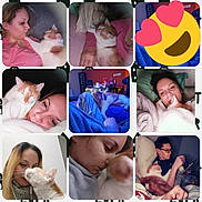 Lune participe au concours pour gagner de l'argent avec cette photo : birth, collage, comfort, eyelash, face, facial_expression, felidae, hand, head, human, jaw, lip, love, makeover, neck, nose, organism, photography, skin, small_to_medium_sized_cats