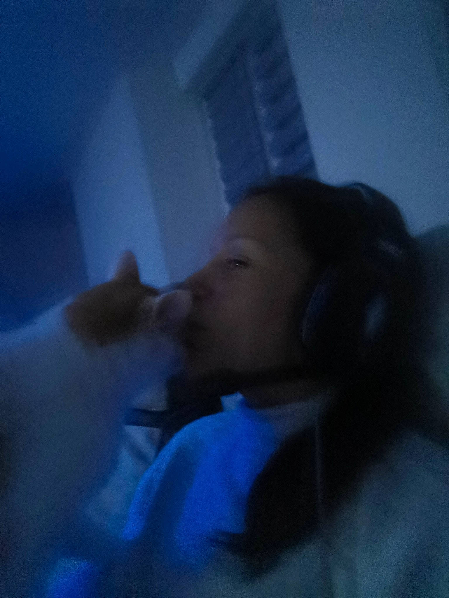 Lune participe au concours pour gagner de l'argent avec cette photo : carnivore, companion_dog, dog_breed, felidae, gesture, interaction, jaw, kiss, love, non_sporting_group, small_to_medium_sized_cats, snapshot