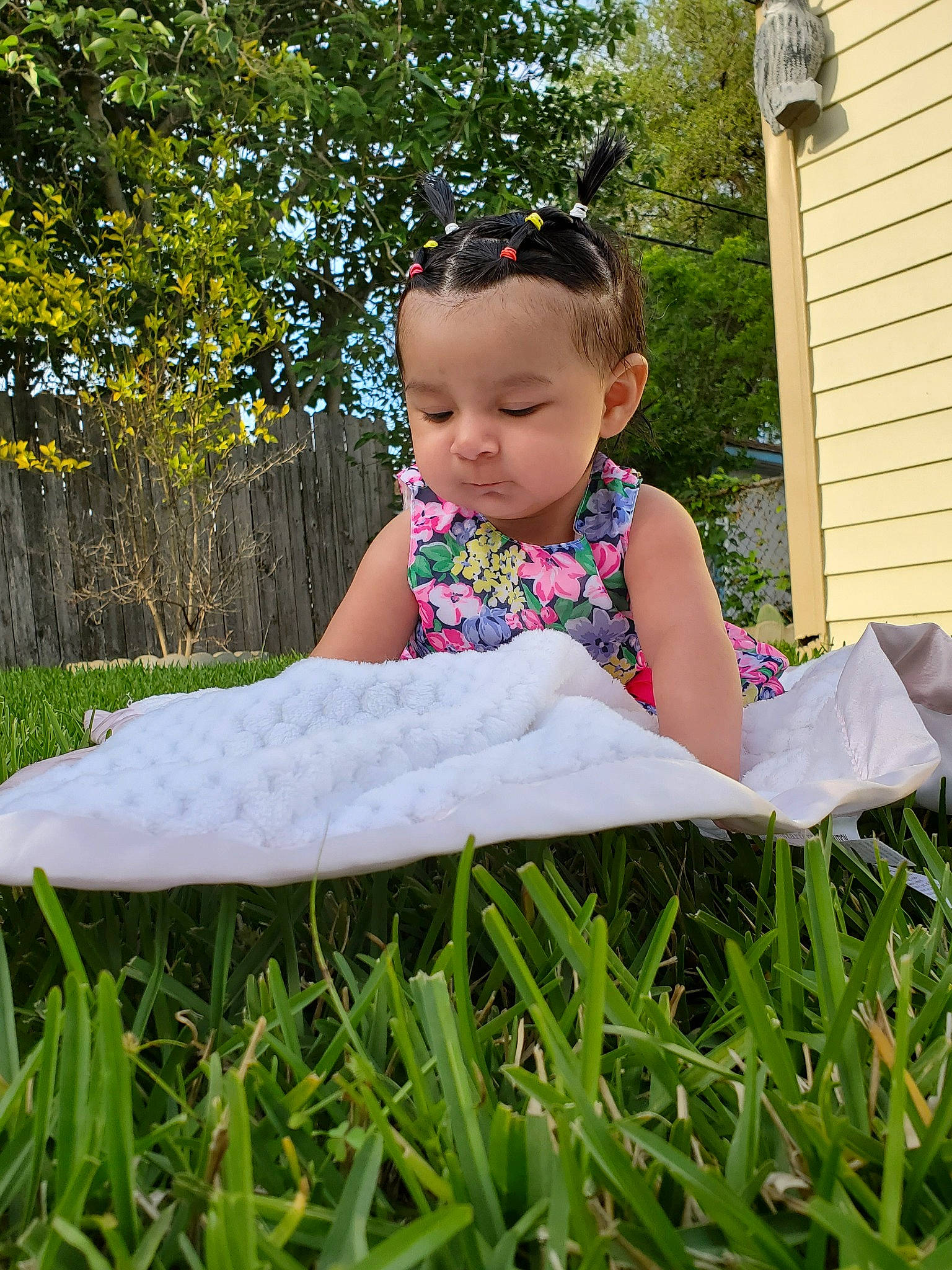 Kari joined the competition — help win amazing prizes! baby_toddler_clothing, child, grass, grass_family, lawn, meadow, person, plant, sitting, toddler, yard