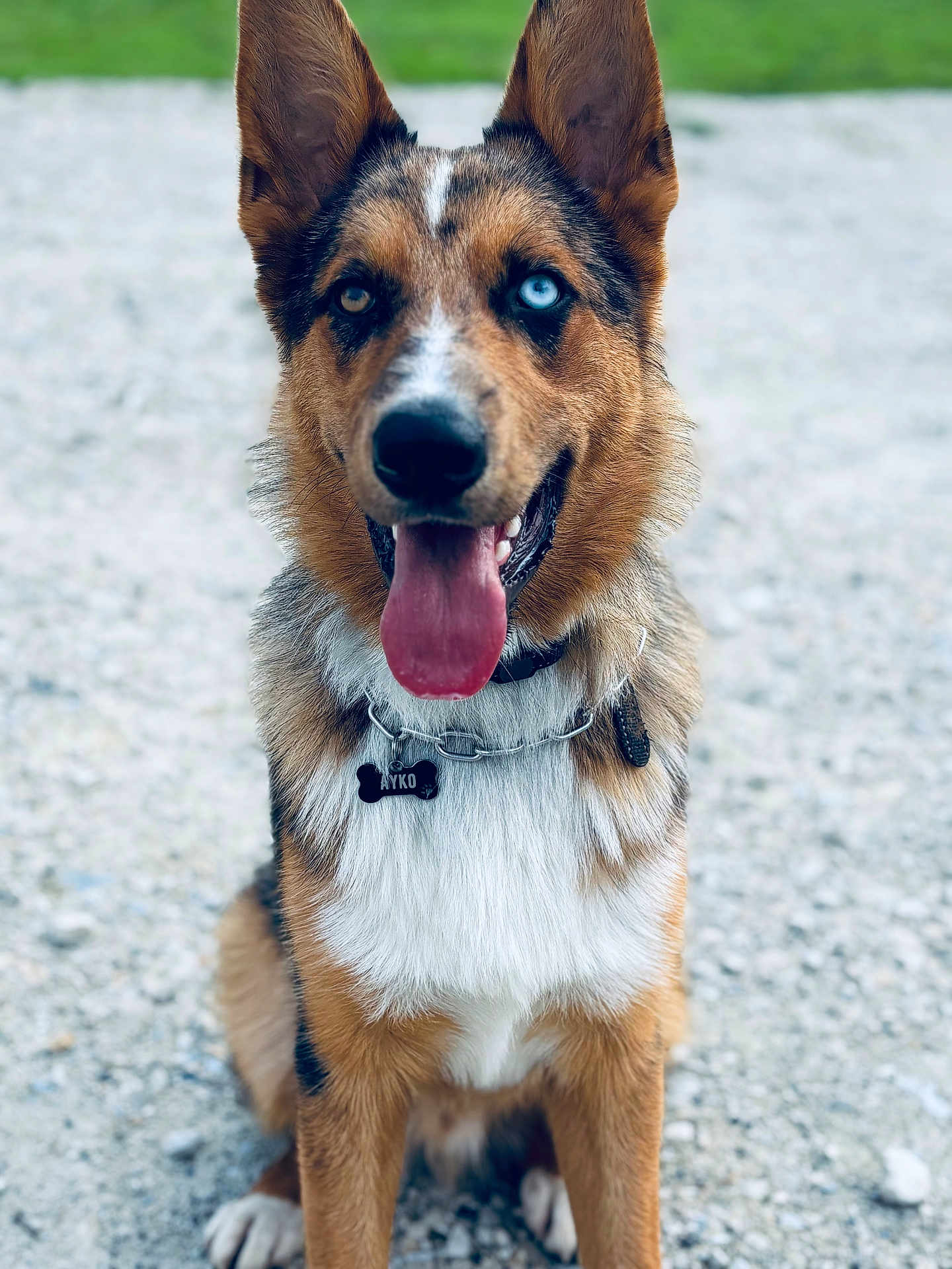 Ayko