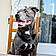 Kayson