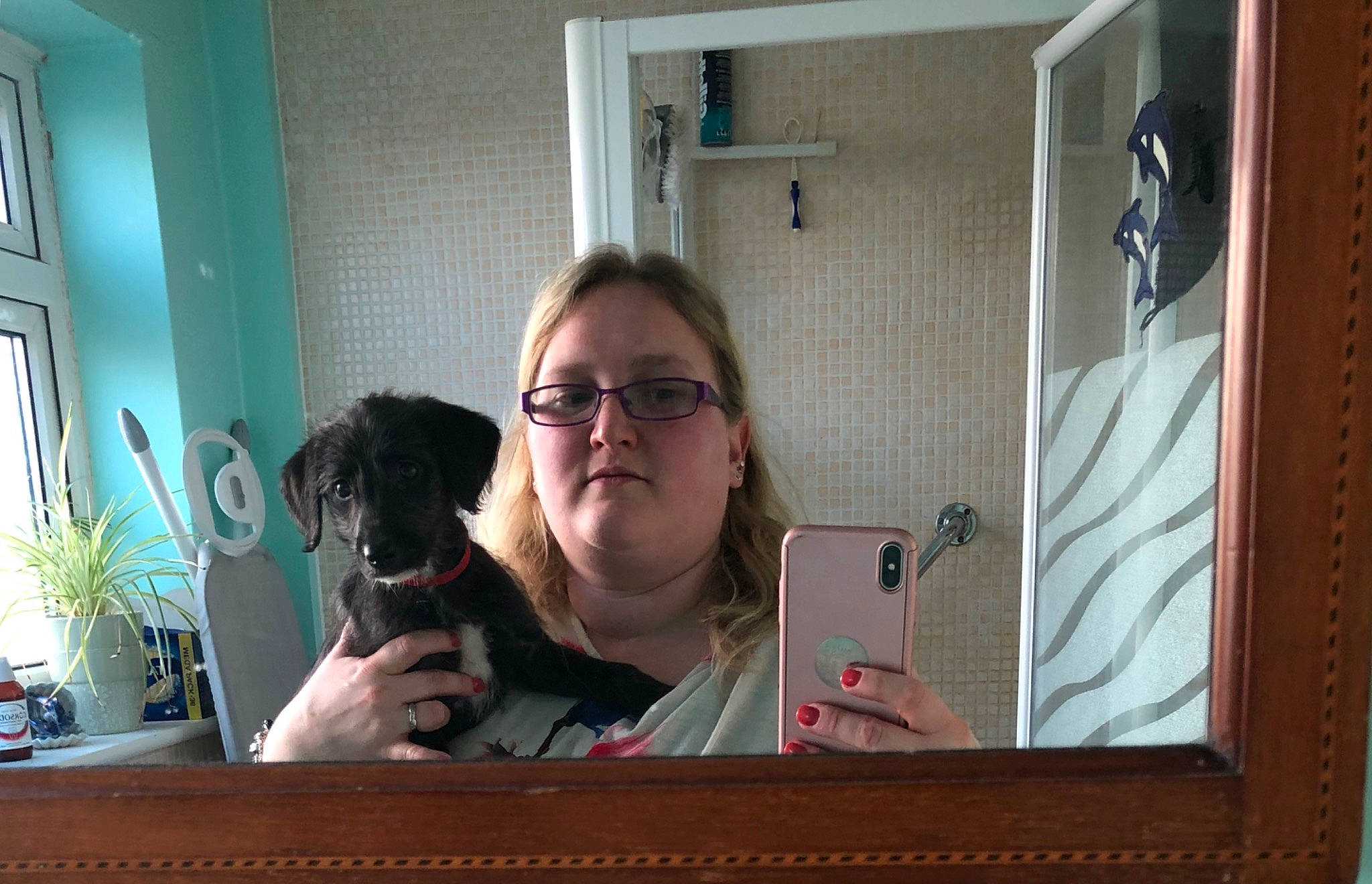 Nala is registered to the contest to win money with this photo: canidae, carnivore, companion_dog, dog, ear, fawn, glasses, mirror, puppy, room, sporting_group, vision_care