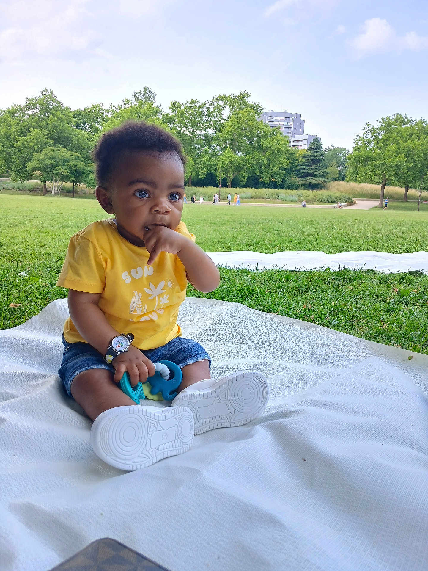 Raphael a rejoint le concours — aidez-le/la à gagner de superbes lots ! toddler, child, outdoor, park, grass, blanket, yellow_shirt, denim_shorts, toy, sitting, greenery, nature, daylight, trees, person, footwear, casual_clothing, cute, curious, baby