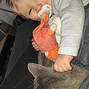 Ewenn participe au concours pour gagner de l'argent avec cette photo : baby, blanket, cat, child, closeup, cozy, cute, gray_cat, hand, indoor, pacifier, person, pet, plush_toy, resting, sleeping_cat, snuggling, soft_toy, toddler, warm