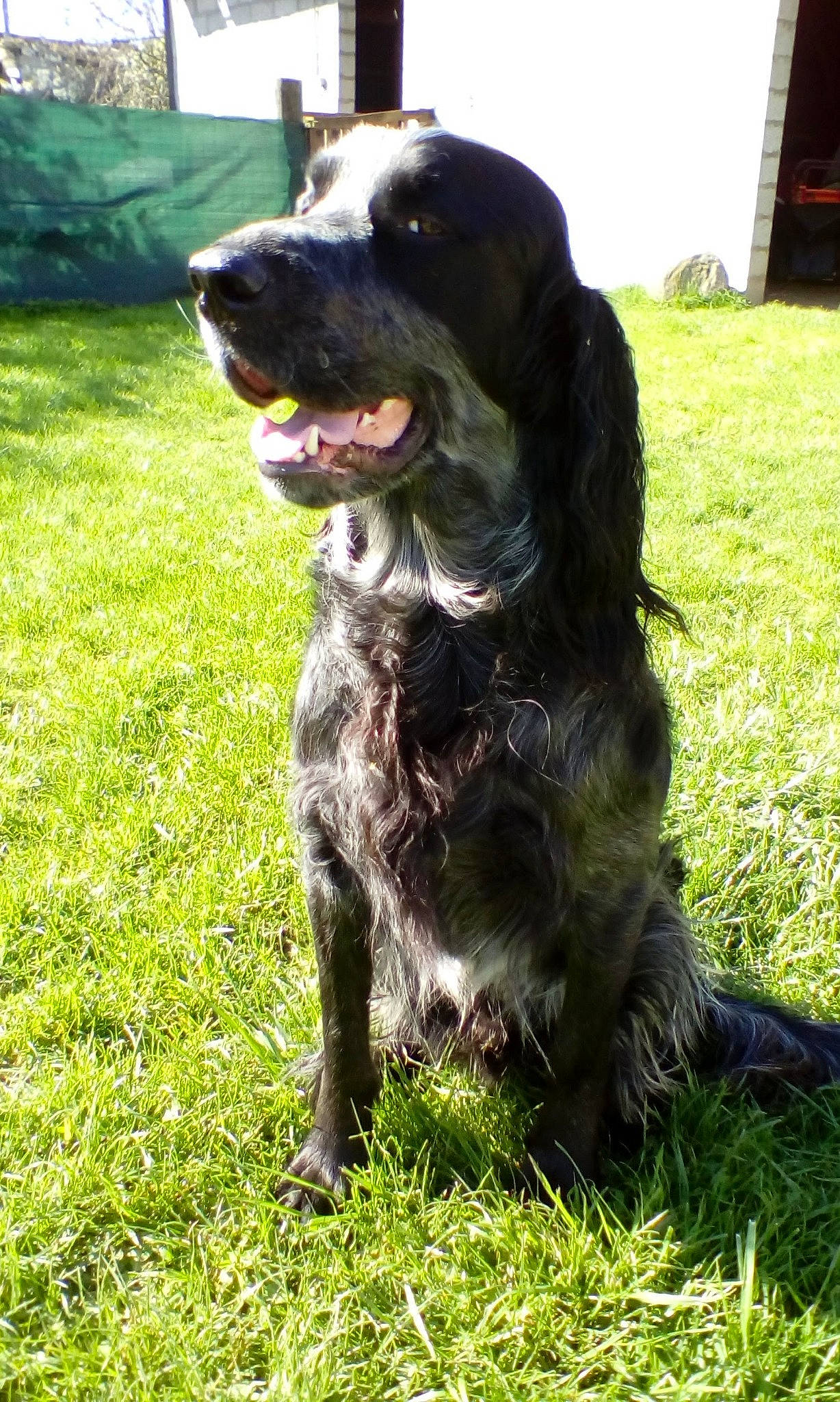 Marley Du Clos Maldav