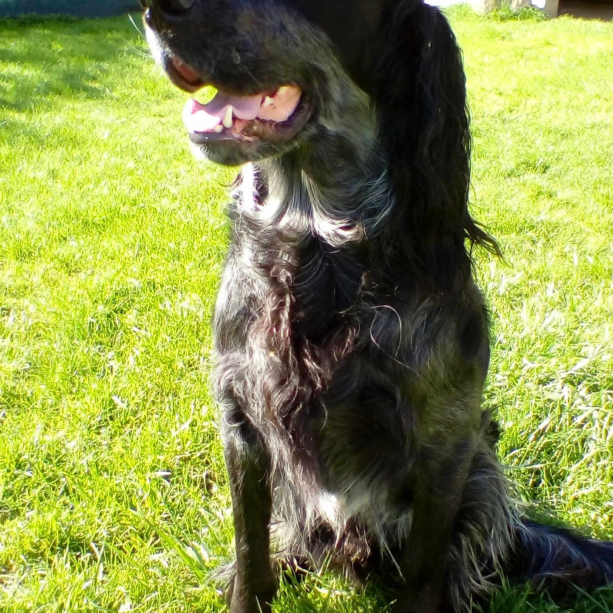 Marley Du Clos Maldav