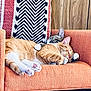 cat, sleeping, cuddle, orange_chair, knitted_blanket, indoor, furniture, pet, cozy, relaxation, paw, tabby_cat, striped_cat, wood_paneling, domestic_animal, companion, resting, cute, comfort, animal