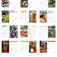 Logan joined the competition — help win amazing prizes! animal, banner, calendar, colorful, cute, dog, grid, indoor, layout, month, name, outdoor, page, pet, photograph, promotion, smiling, text, website, year