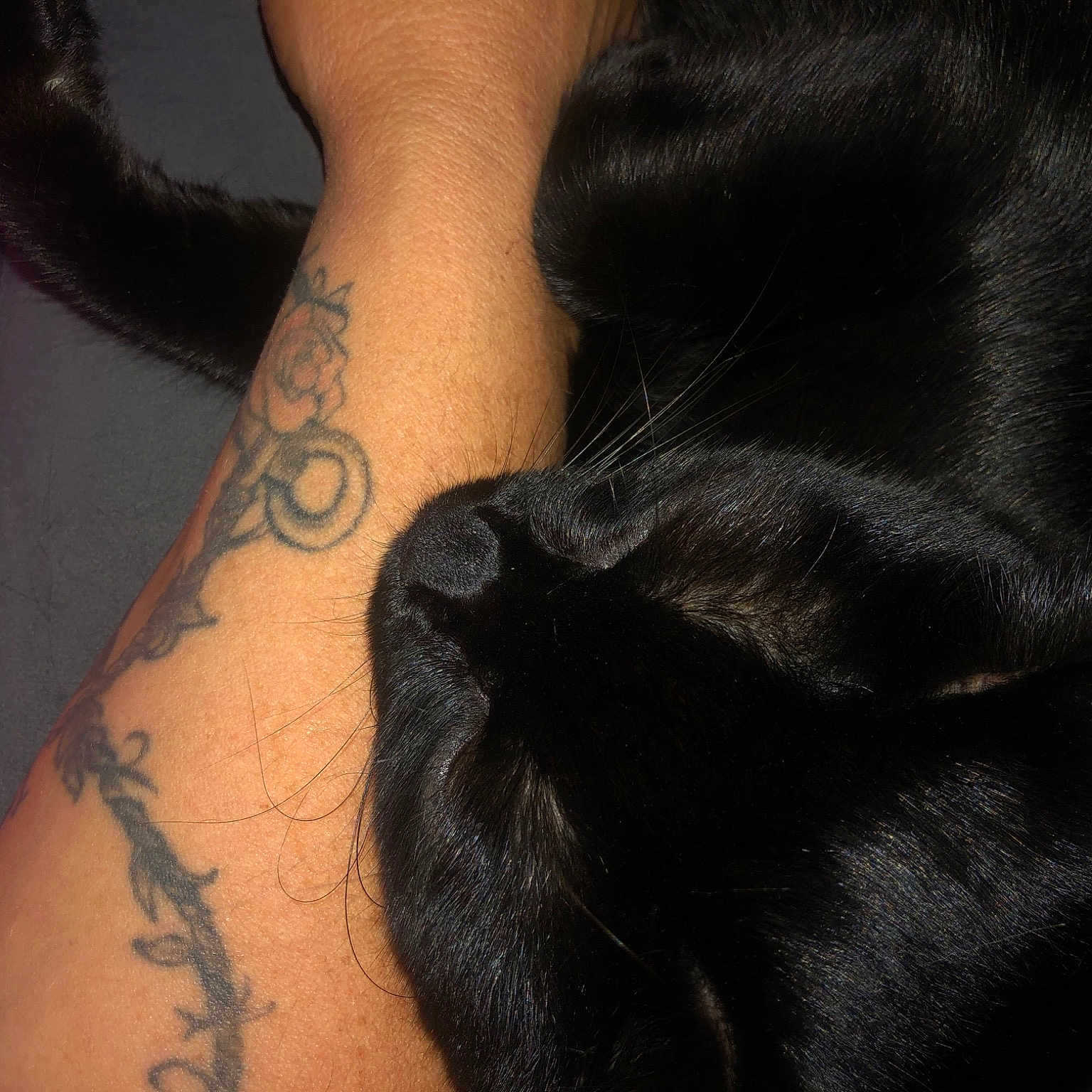 Tootsie is registered to the contest to win money with this photo: art, calf, close_up, cover_up, elbow, eyelash, fashion_accessory, flesh, font, foot, gesture, human_leg, nail, neck, pattern, sleeve, tattoo, temporary_tattoo, thumb, wrist