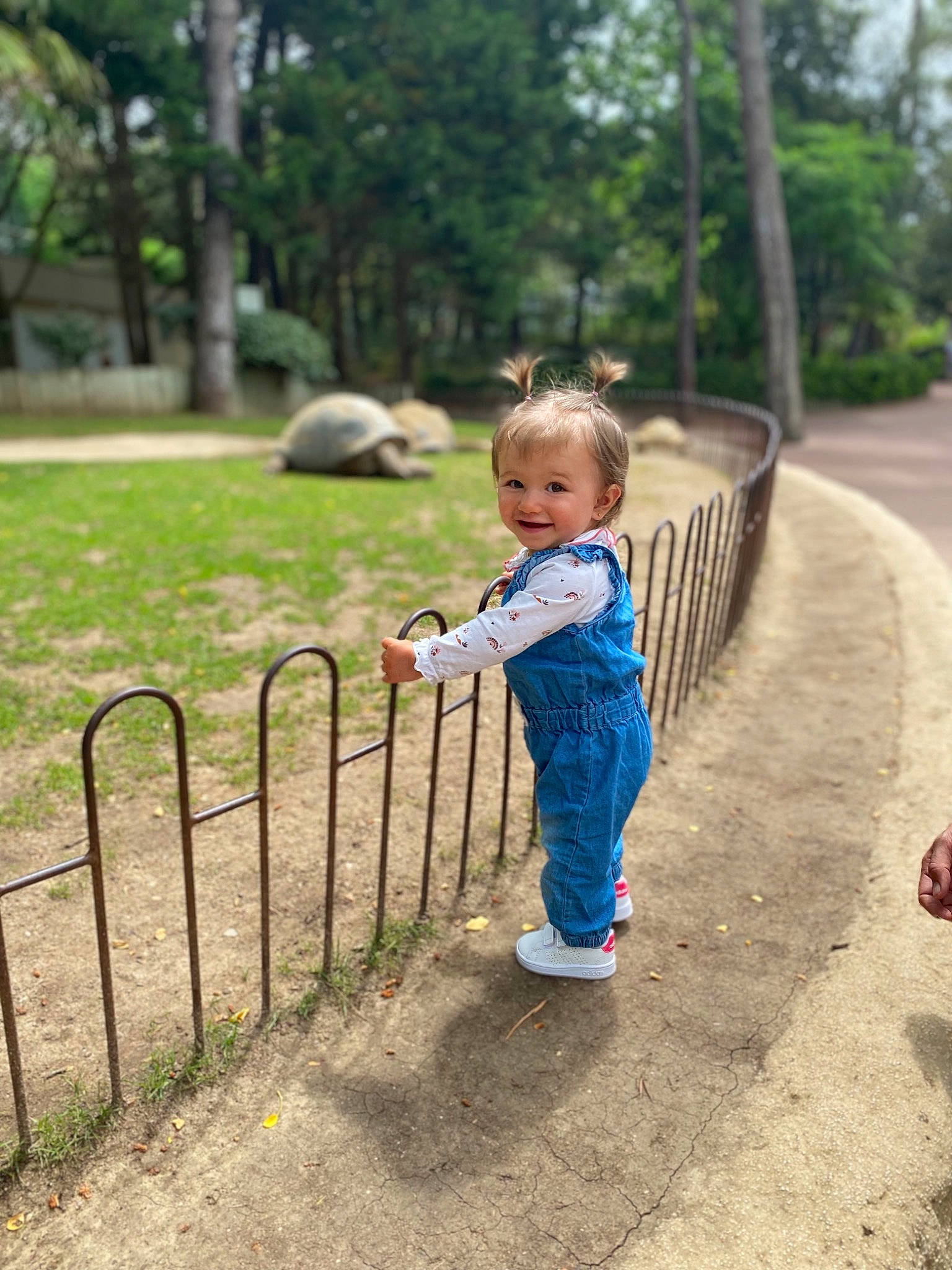 Léna a rejoint le concours — aidez-le/la à gagner de superbes lots ! asphalt, baby, baby_toddler_clothing, child, city, electric_blue, fun, grass, happy, joy, leaf, leisure, mammal, people_in_nature, person, plant, recreation, smile, spring, toddler