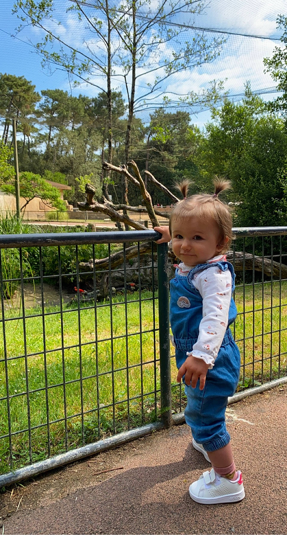 Léna participe au concours pour gagner de l'argent avec cette photo : baby, baby_toddler_clothing, botany, child, electric_blue, fence, fun, garden, grass, happy, landscape, leisure, metal, pattern, people_in_nature, person, plant, recreation, sky, toddler