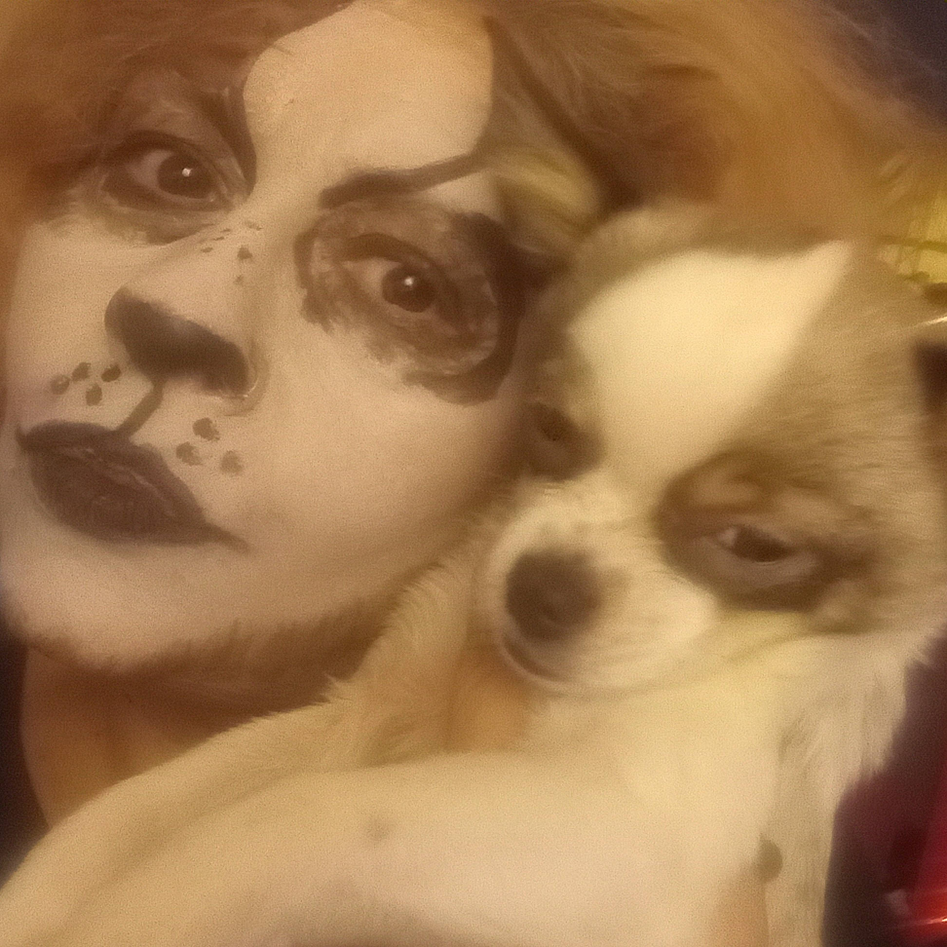 Apolo is registered to the contest to win money with this photo: art, carnivore, chest, companion_dog, dog, dog_breed, ear, eyelash, fawn, gesture, happy, iris, jaw, mammal, nose, snout, sporting_group, toy_dog, vertebrate, whiskers