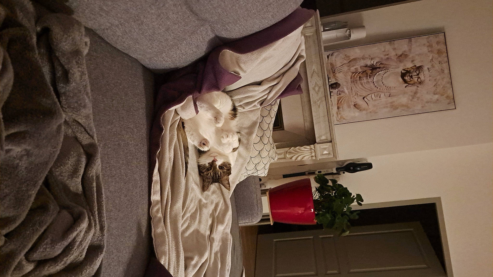 Kirito participe au concours pour gagner de l'argent avec cette photo : art, artifact, carmine, carving, classical_sculpture, collection, cross, facade, fashion_design, monument, plant, relief, religious_item, room, sculpture, statue, tree, visual_arts, window, wood