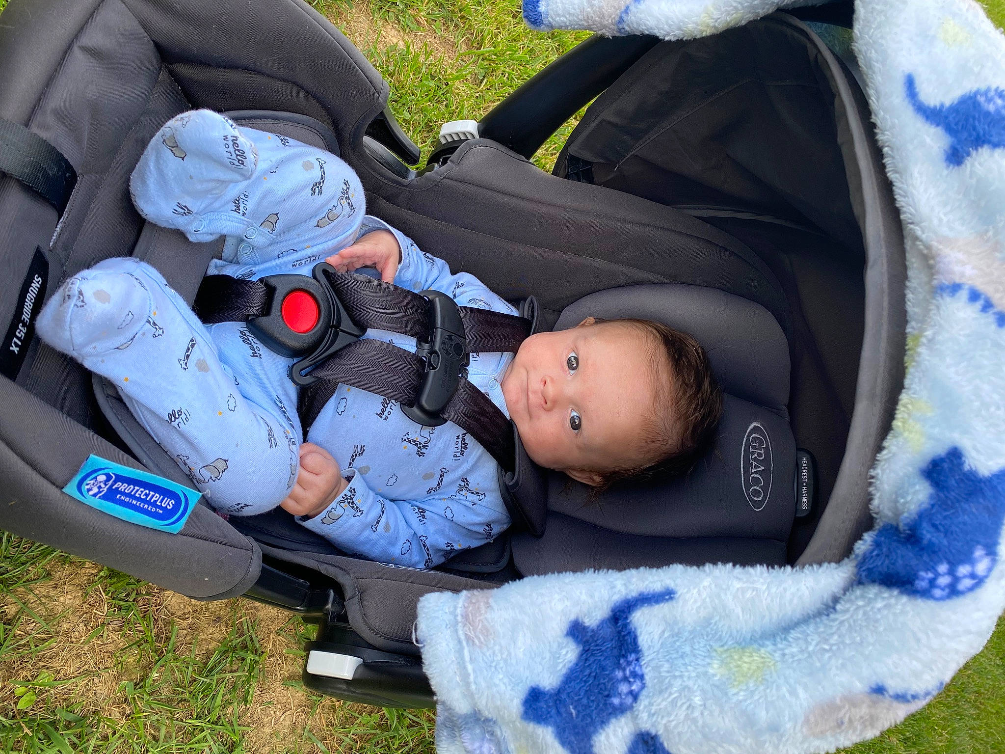 Keegan is registered to the contest to win money with this photo: auto_part, baby, baby_carriage, baby_products, baby_toddler_clothing, car_seat, carmine, child, comfort, electric_blue, grass, person, personal_protective_equipment, plant, recreation, sitting, toddler, tree, white, window