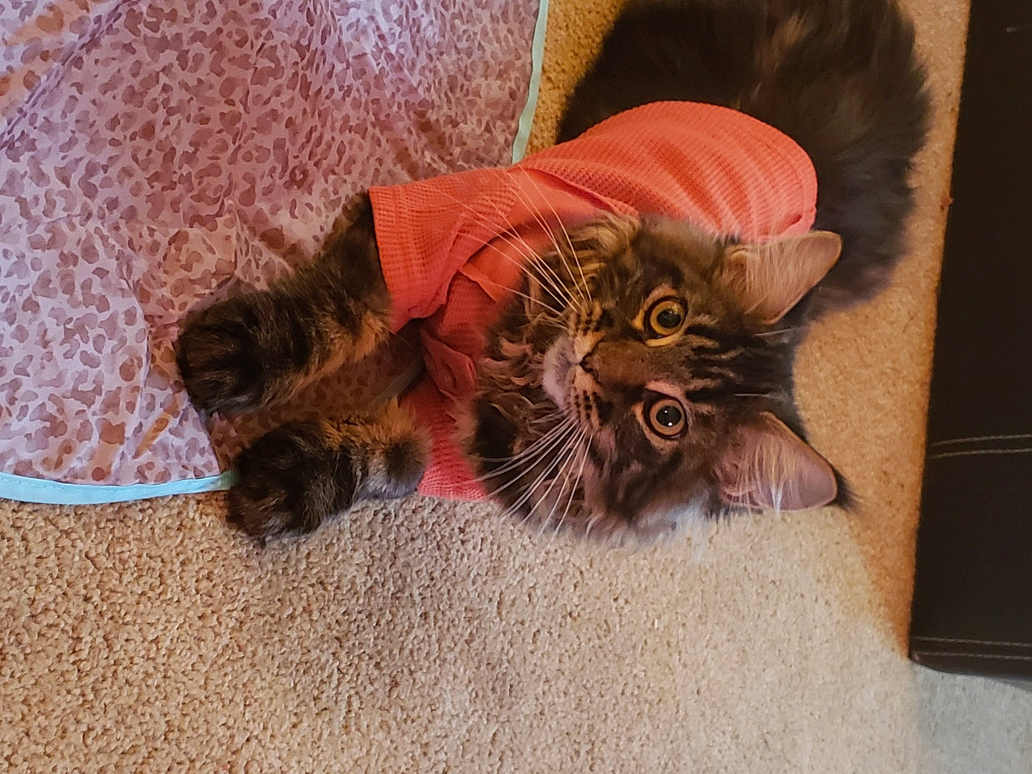 Maggie