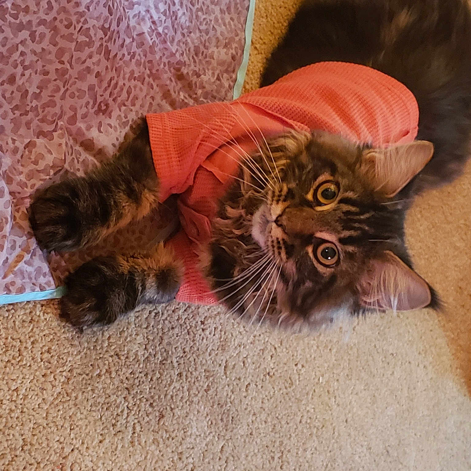 Maggie