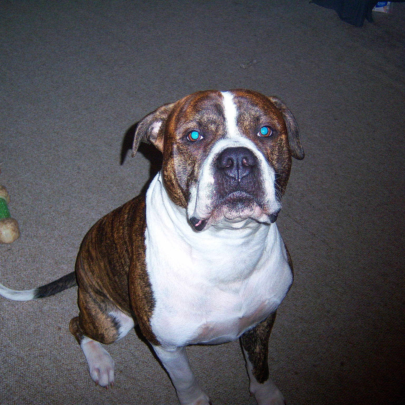 Alexander is registered to the contest to win money with this photo: