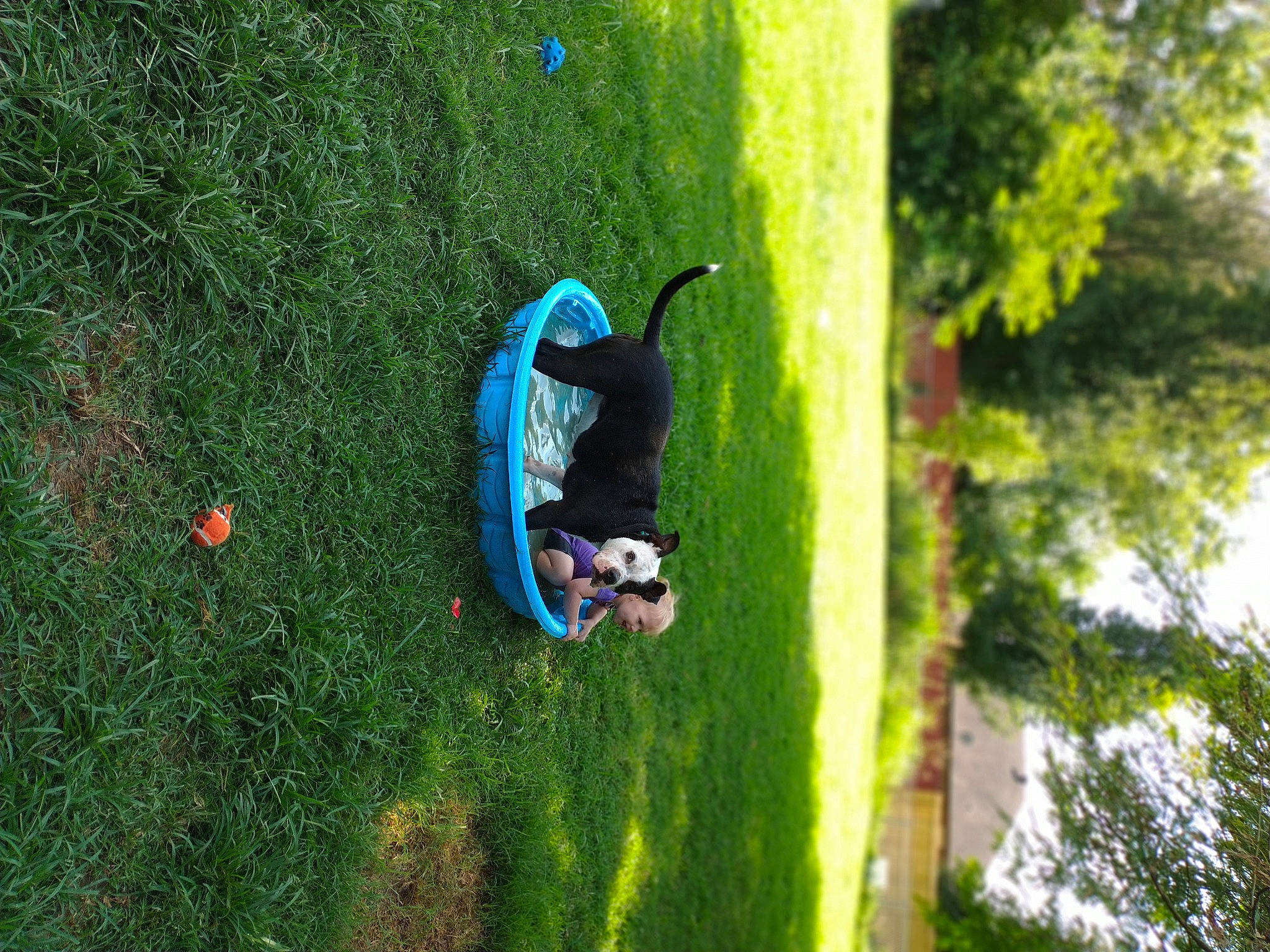 Maya joined the competition — help win amazing prizes! adventure, biome, electric_blue, extreme_sport, forest, fun, grass, grass_family, grassland, landscape, lawn, leisure, people_in_nature, plant, recreation, toddler, toy, tree, vegetation, vehicle